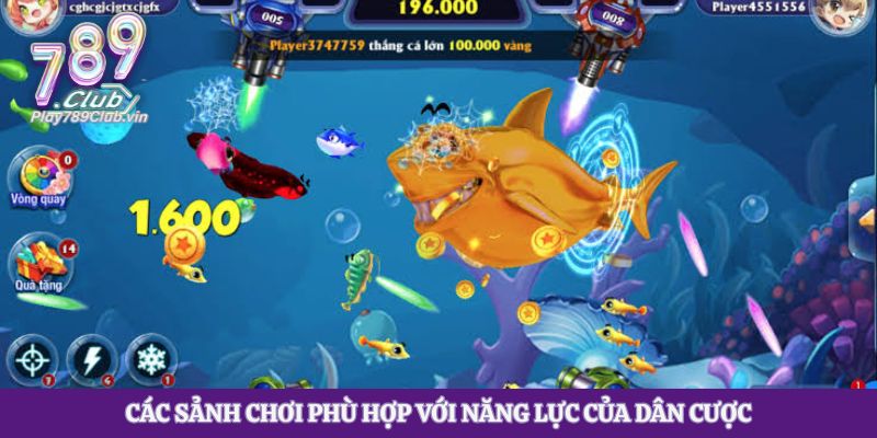 Các sảnh chơi phù hợp với năng lực của dân cược