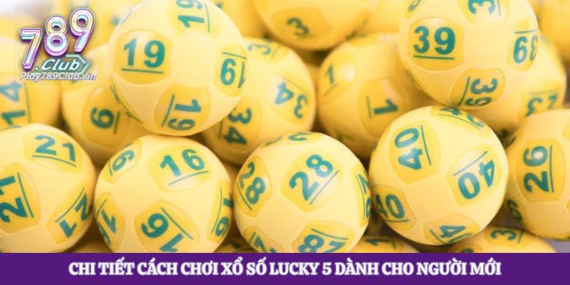 Chi tiết cách chơi xổ số lucky 5 dành cho người mới