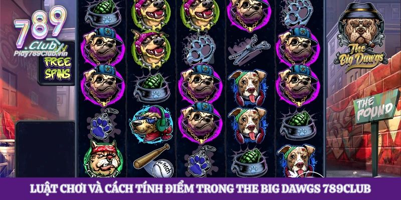 Luật chơi và cách tính điểm trong The Big Dawgs 789club